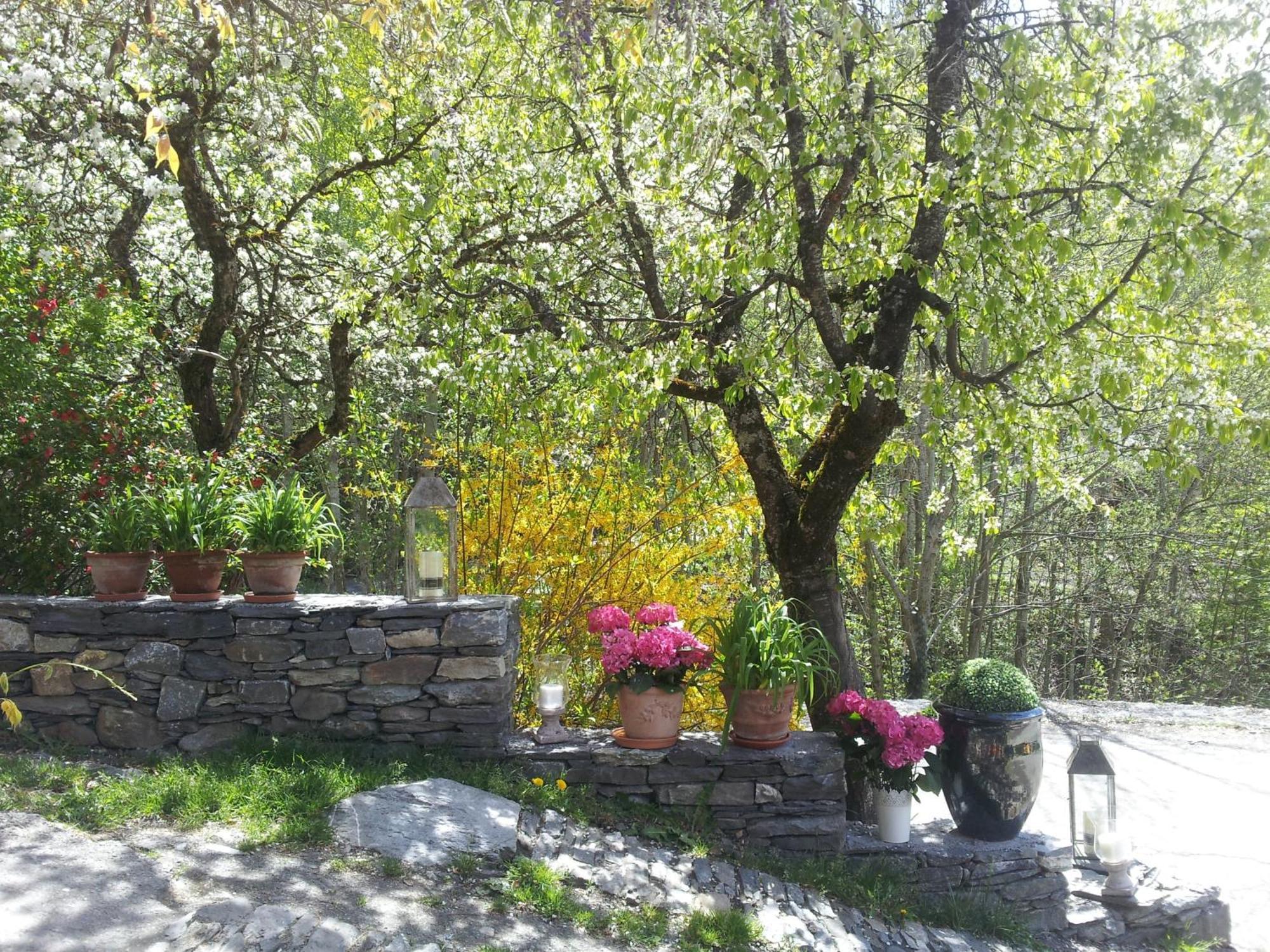 בור סן מוריס Chalet D'Heidi חדר תמונה